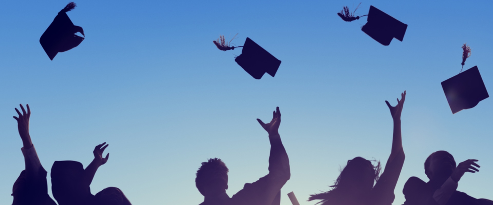 Dissertation vs. Capstone Project: Which is Right for You?